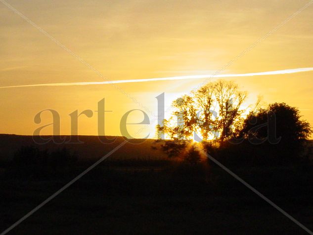 Atardecer en el campo Naturaleza Color (Digital)