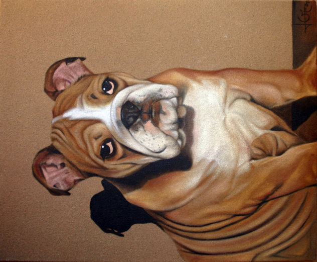 perro de lolo