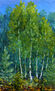 Painting palette knife: Glade of beautiful trees in the forest. Forest landscape oil - palette knife painting.