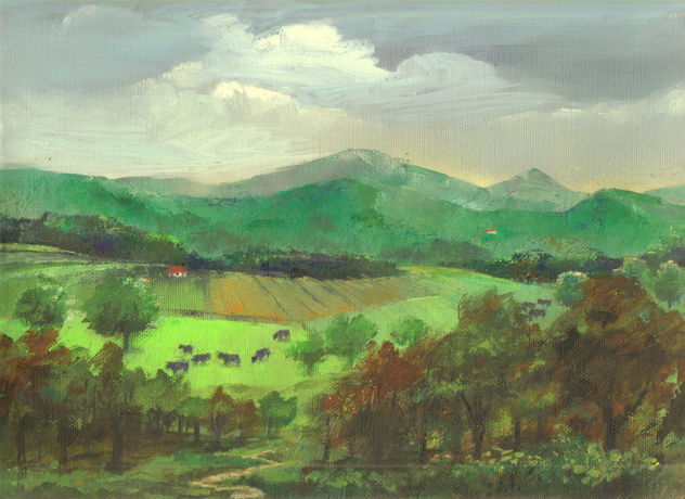 Bajando al valle