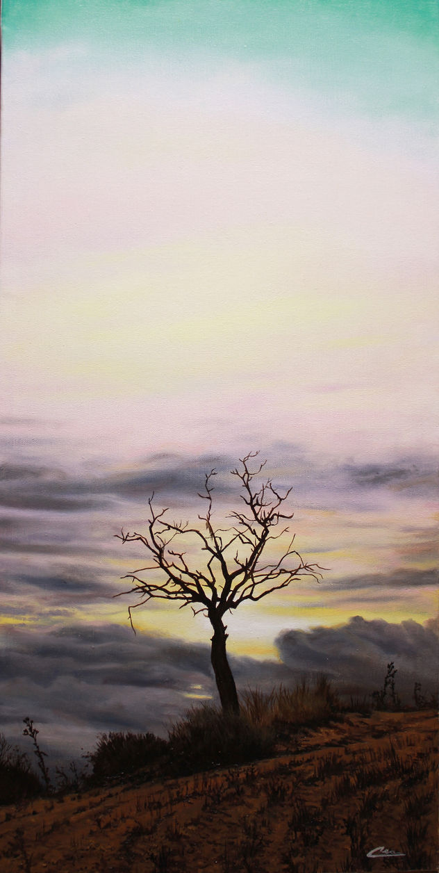 el árbol seco de Wamba 1