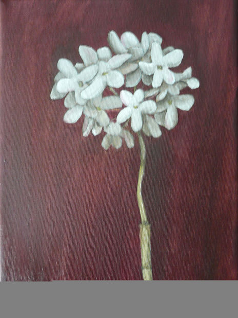Biznaga, flor de...
