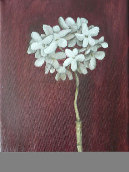 Biznaga, flor de Málaga Oil Canvas Floral Painting