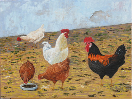 Corral de gallinas