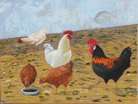 Corral de gallinas