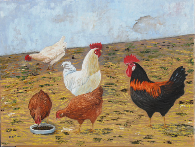 Corral de gallinas