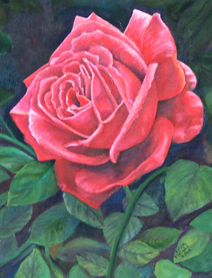 Rosa roja Oil Canvas Floral Painting