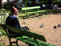 Habló con las palomas