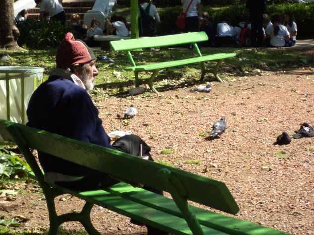 habló con las palomas Fotoperiodismo y documental Color (Química)