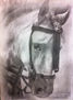 cabeza de caballo