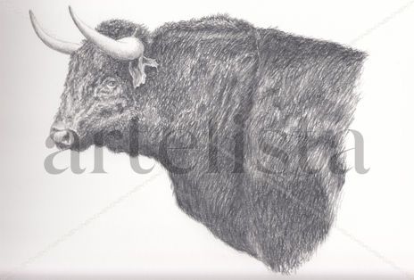 Toro