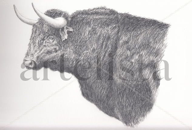 Toro Graphite