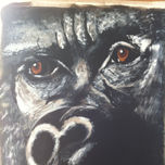 animales thumbnail 1