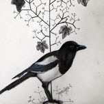 Animales thumbnail 1