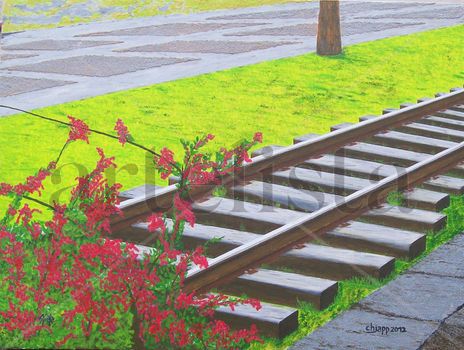 J12057 Bougainville