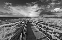 Baltic Seashore at...