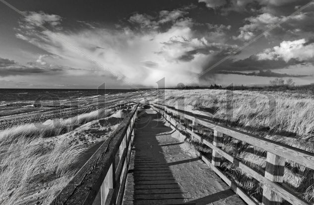 Baltic Seashore at Ahrenshoop Other Themes Black and White (Digital)