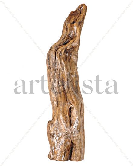 Flama de la vida Wood Abstract