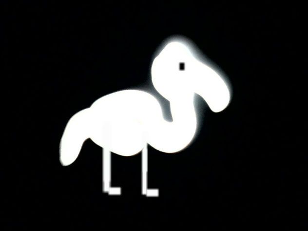 COMPOSICION VLAS.LUNA PATO