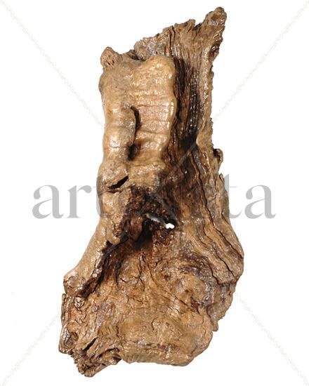 Arropando la vida Wood Abstract