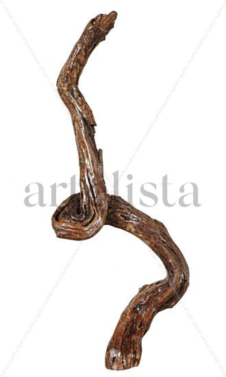 Espiral Inflacionaria Wood Abstract