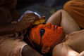 A Theyyam-Dancer gets his face ritually painted