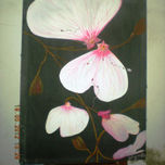 Orquideas de Bolivia thumbnail 2
