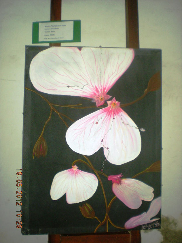 MARIPOSAS