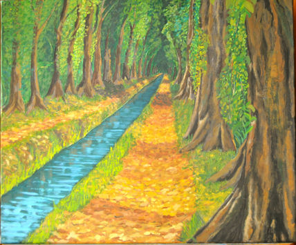 Acequia en verano