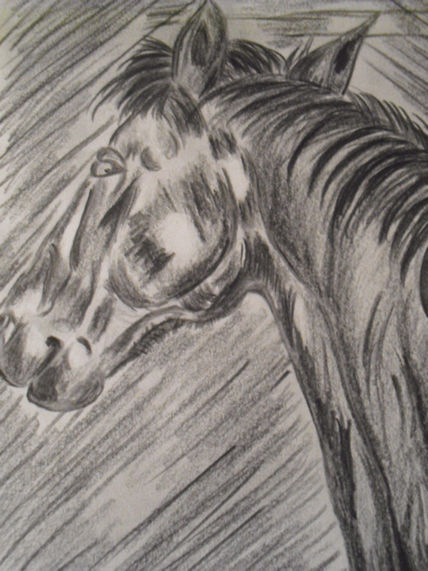 Caballo 2