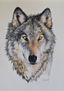 lobo 2