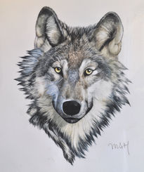 Retrato de lobo