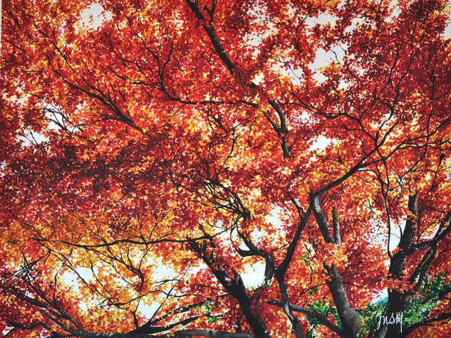 Árboles de colores Acuarela Papel Paisaje