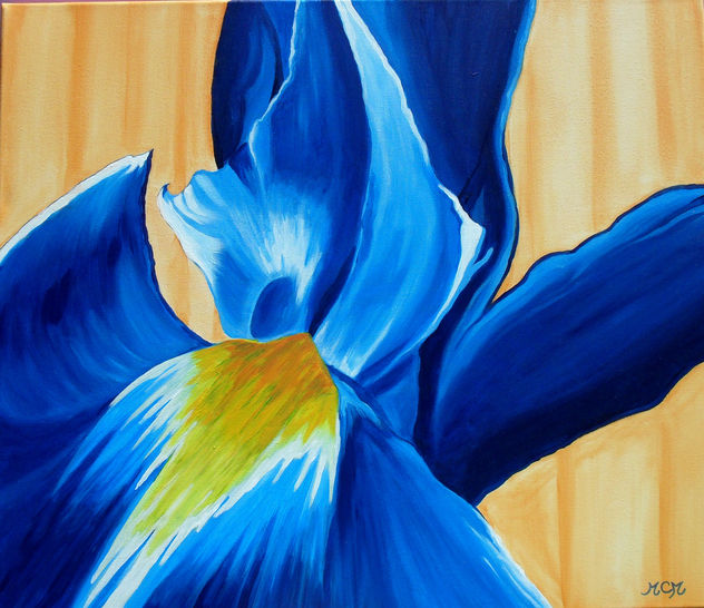 Recuerdos de mi jardín: Iris