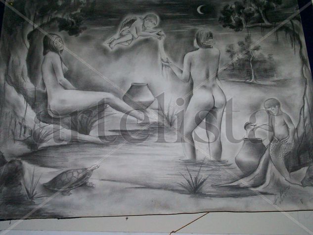 La Selva en su esplandor Charcoal