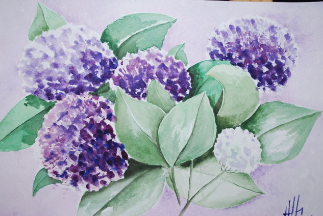 las hortensias de Cecarlos (Sevilla) Acuarela Papel Floral