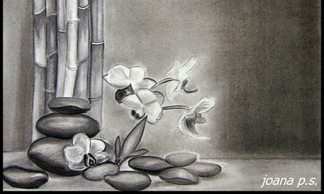 DIBUJOS A CARBONCILLO