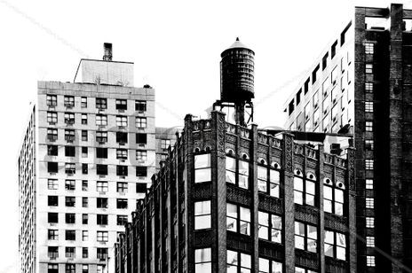 On the roof