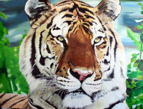 Tigre