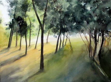 Bosque luz