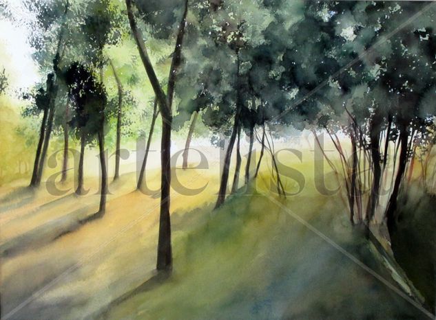 BOSQUE LUZ Acuarela Papel Paisaje