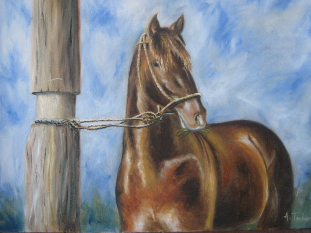 caballo Oil Canvas Animals