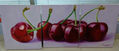 cerezas