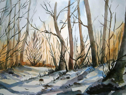 Bosque nevado
