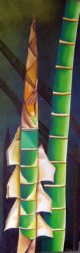 GUADUAS VERDES