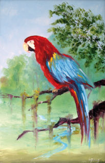 Guacamaya