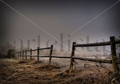 Niebla
