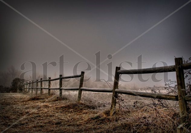 Niebla