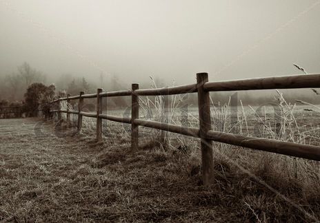 Niebla