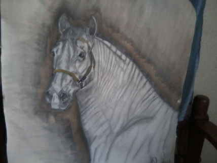 Caballo ballo